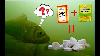 Таблетки для рыбалки шипящая прикормка своими руками