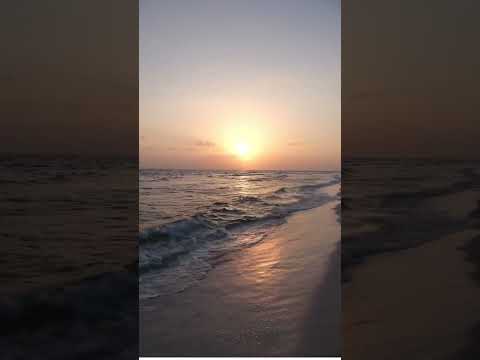 "Life takes you down many paths, but the best ones lead to the beach..."