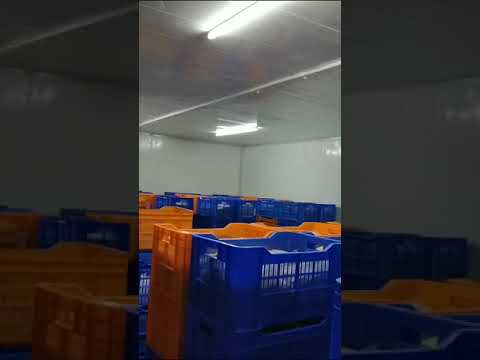 Ripening Chamber