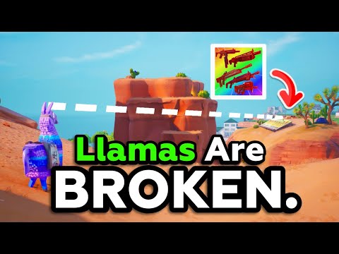 Also bringen Lamas tatsächlich Glück?!