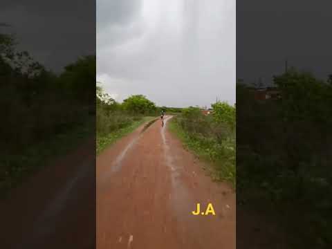 planaltino Bahia meis de chuvas. J.A músicas e paisagens 🇧🇷.