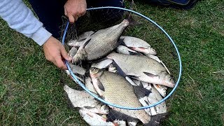 Ловля леща осенью на реке пьяна