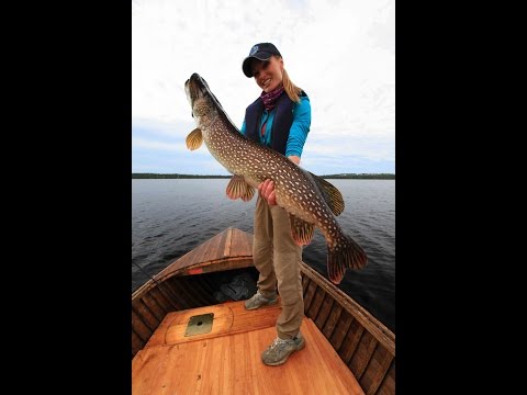 Brace Lake Giant Pike | Ontario