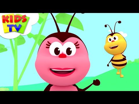 If you are happy - kindergarten nursery rhymes for children