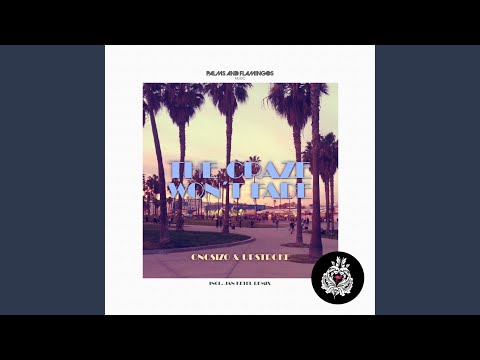 The Craze Won't Fade (Jan Ketel's Homies Dub)