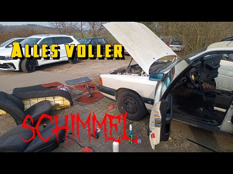 Alte liebe Rostet nicht | Ein weiterer Audi 100 von den toten zurück