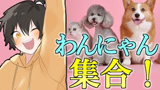 - 🔴みんなのペット見せてください!!【凸待ち】