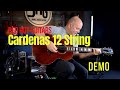 RHG Cardenas 12 string RED HOT GUITARS!