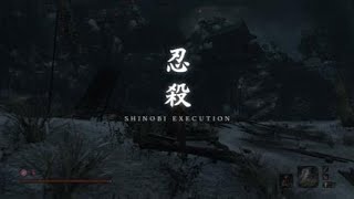 SEKIRO™： SHADOWS DIE TWICE_20190423211940