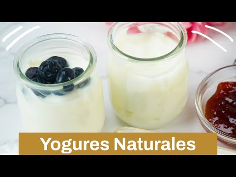 Yogures naturales caseros ¡Riquísimos!