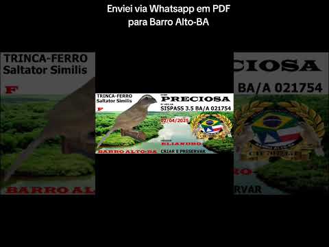 Enviei via Whatsapp em PDF para Barro Alto-BA🔥🫅