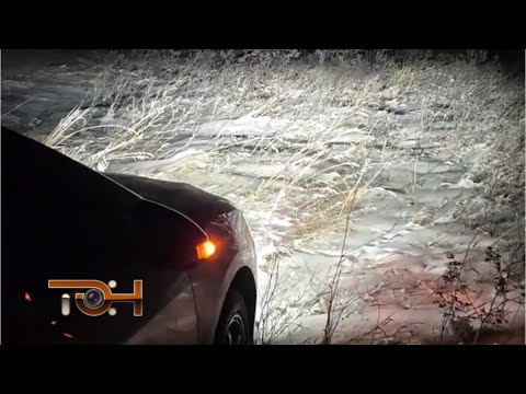 Дайджест происшествий