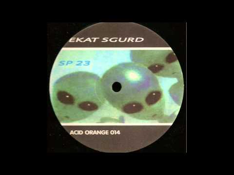 sp23 - ekat sgurd A.wmv