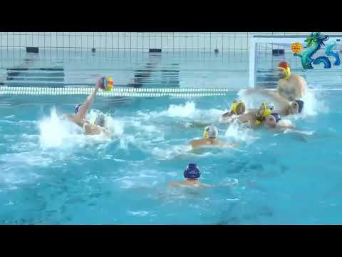 LEN Champions League    CN Marseille -VK Novi Beograd  10.01.23 Highlights