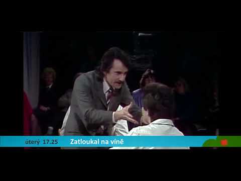 Zatloukal na víně | herec Pavel Zatloukal na @tv_noe