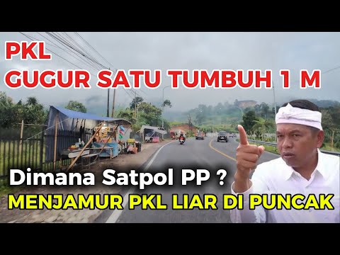 THE LATEST & NEWEST PUNCAK TOURISTS FLOOD THE PUNCAK ROAD TO ENJOY THE BEAUTY OF NATURE