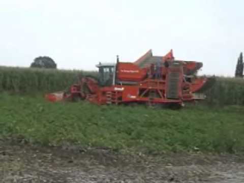 Van Bruwaene R en zn: Aardappel rooien.