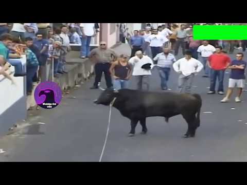 Best funny videos 2020 | most awesome bullfighting festival  funny crazy bull fails