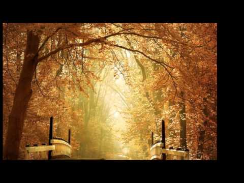 Take Me Home Country Roads