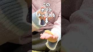 手を使わずにポテチを割ります。#shorts #検証