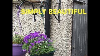Life Hacks How To Fit a Plant Hanging Basket Bracket To a Concrete Block Wall