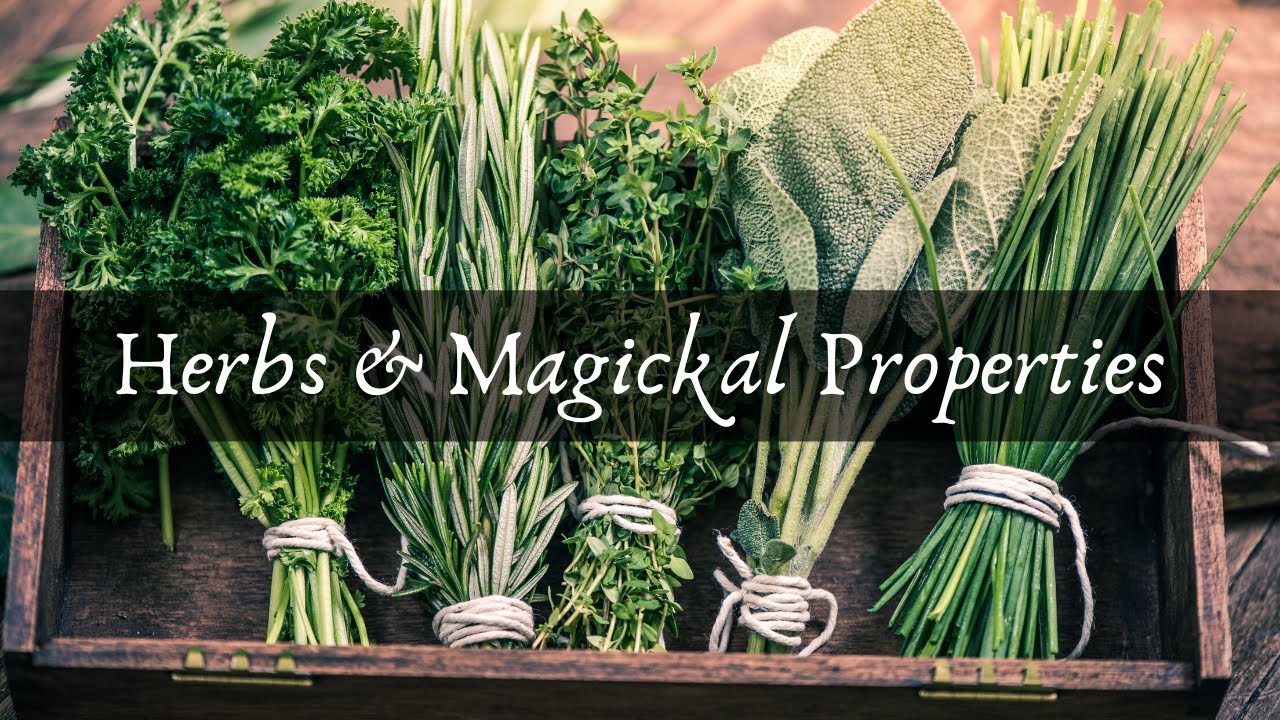 Herbs and Their Magickal Uses