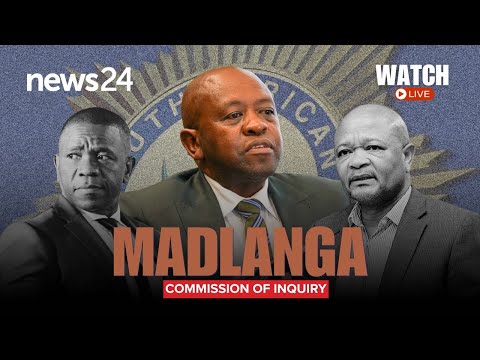 WATCH LIVE | SAPS organised crime head told us about ‘envelopes’ in Swart hit bail case - Witness