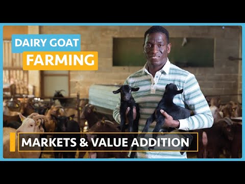 Dairy Goat Farming Lesson 1 Course Outline