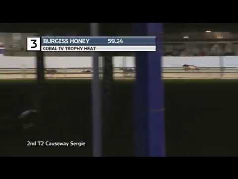 2019 CORAL TV TROPHY - HEAT 2 - T3 BURGESS HONEY