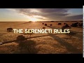 GREG KRIEK- THE SERENGETI RULES TEASER- TRIBECA 2018