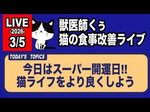 【猫の食事改善ライブ】今日はスーパー開運日!!猫ライフをより良くしよう【アーカイブは3/6まで】