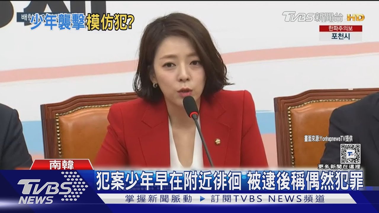 南韓少年石塊砸主播議員 事先埋伏「預謀犯案」