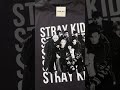 REMERA OVER ESTAMPADA STRAY KIDS BND1