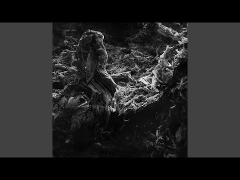 Unpredictability (Original Mix)