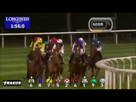 2016 Dubai Sheema Classic -G1- Postponed