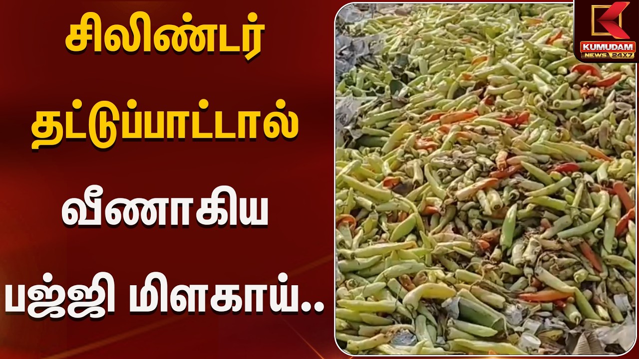 சிலிண்டர் தட்டுப்பாட்டால் வீணாகிய பஜ்ஜி மிளகாய்.. சாலையோர கடை உரிமையாளர்கள் வேதனை | Kumudam News