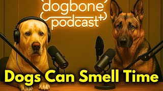 How You See Your Dog Will Now Change Forever
