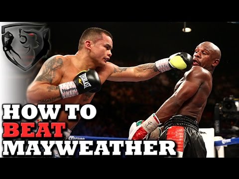 How to Beat a Mayweather-Style Fighter (Lean Back/Pull Counter)