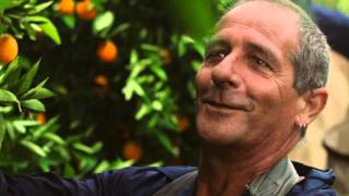 Foodland - Great Food Lives Here 90 sec TVC