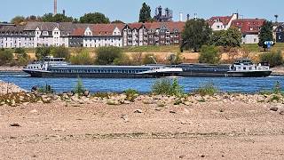 El nivel del río Rin sigue bajo por la sequía que persiste en Alemania