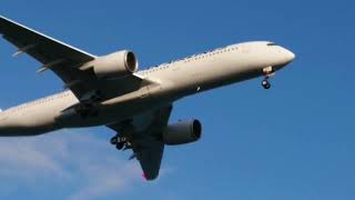 日本航空A350　Tokyo International Airport　#Short