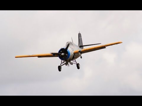 GIANT 1/4 SCALE GRUMMAN F4F WILDCAT - MOKI 250cc 5 CYL RADIAL - WILLIS WARBIRDS FIGHTER MEET - 2017