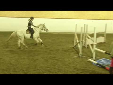 Lee hoppträning Sorunda Ridklubb