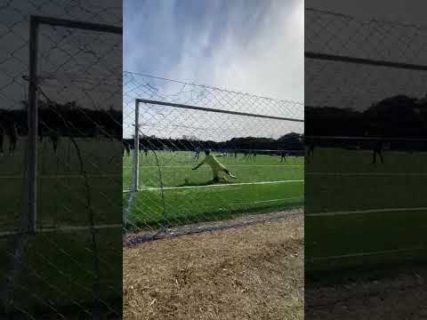 Miniatura filmu
