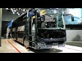 Man Lions Coach Review