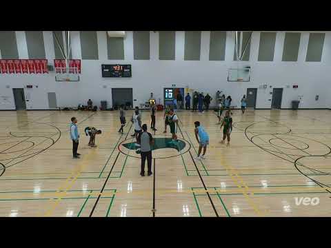 Hakka Shaq (46) tier 13 - 2023 Fall  Swisher Sweets (53) - tcbl sunday