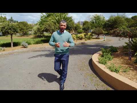 127 EAGLEVIEW RD MINTO