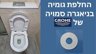 החלפת גומיה בניאגרה סמויה של GROHE
