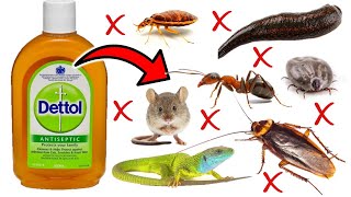 How To Get Rid of Pests with DETTOL - Ticks, Rats, Bedbugs, Ants, Lizards, Leeches, Cockroaches