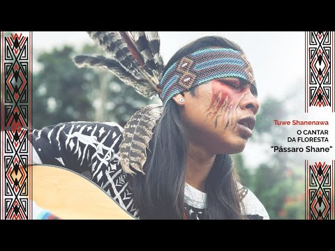 Tuwe Shanenawa - Pássaro Shane